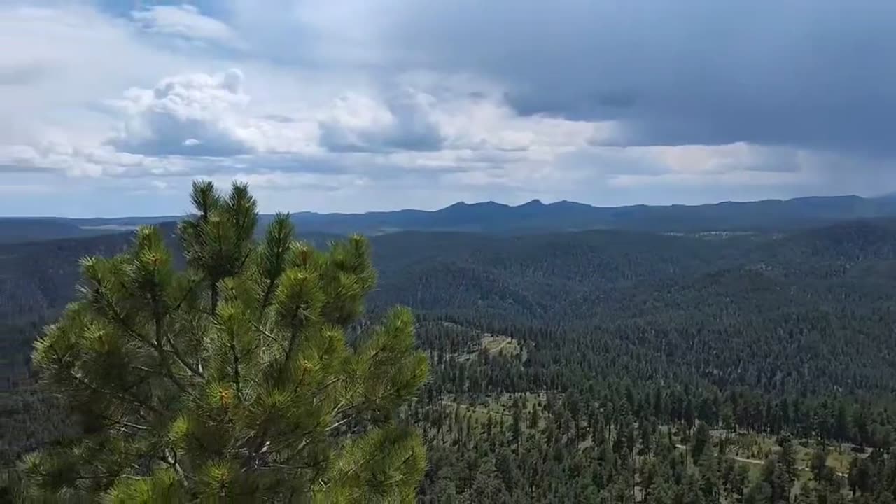 Hiked up to Buzzard's Roost!