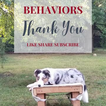 Back to the Basics: Stop , Back, Figure Six cut 5