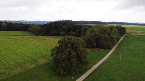 Viele Viela in Germany und shcön wirtschaft 😊😉