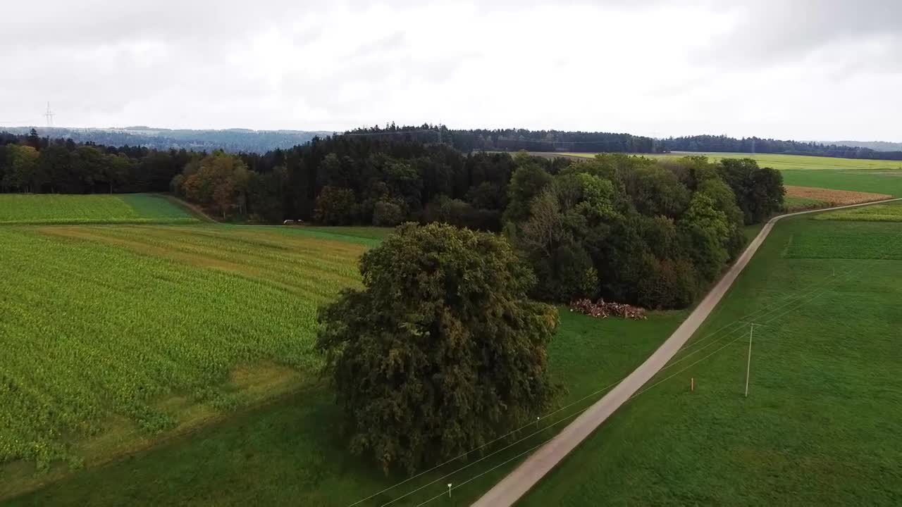 Viele Viela in Germany und shcön wirtschaft 😊😉