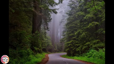 Relaxing Music | Sleeping, Meditation, Stress Relief | [1636] ⭐️