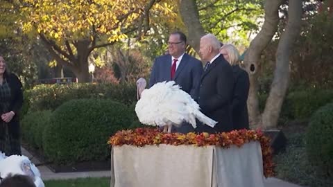 Biden Pardons Vaccinated Turkey, Unvaccinated Turkey Sent to Hunter