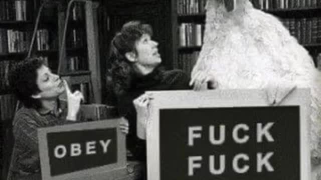 Big Bird says let’s go brandon