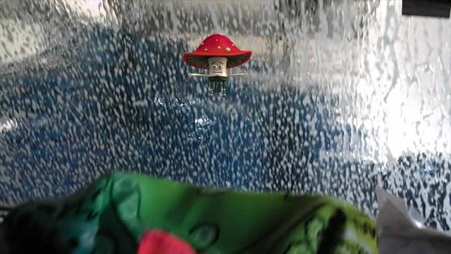 Crouton at Ocean Express Car Wash