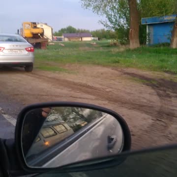 The accident with the pigs