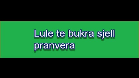 Lule te bukra sjell pranvera