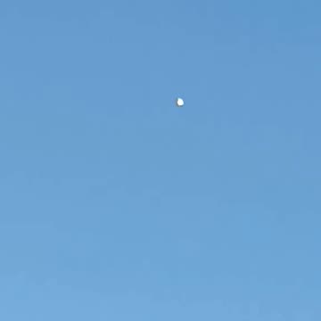 Sighting of Unknown Flying Object in Alto Macul, La Florida 10-18-24 UFO Chile Ufo Today