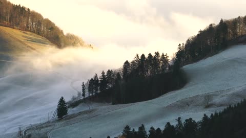 Nature Fog Footage- Drone Shots