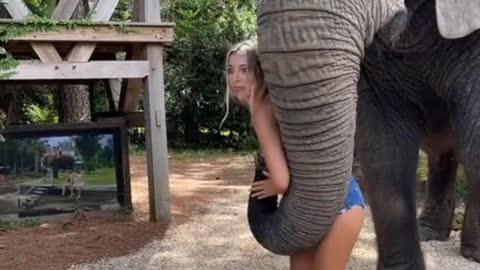 naughty elephant