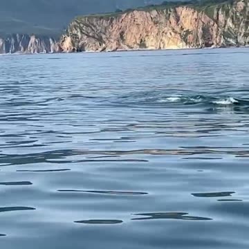 Natural scenes and surroundings