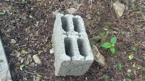 Look at this stone has four holes, what are they for?