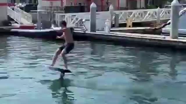 Funny Video Clips # 37