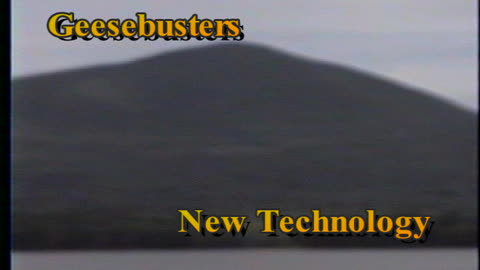Geesebusters.com Eagle flies over Ashokan Reservoir in Upstate New York