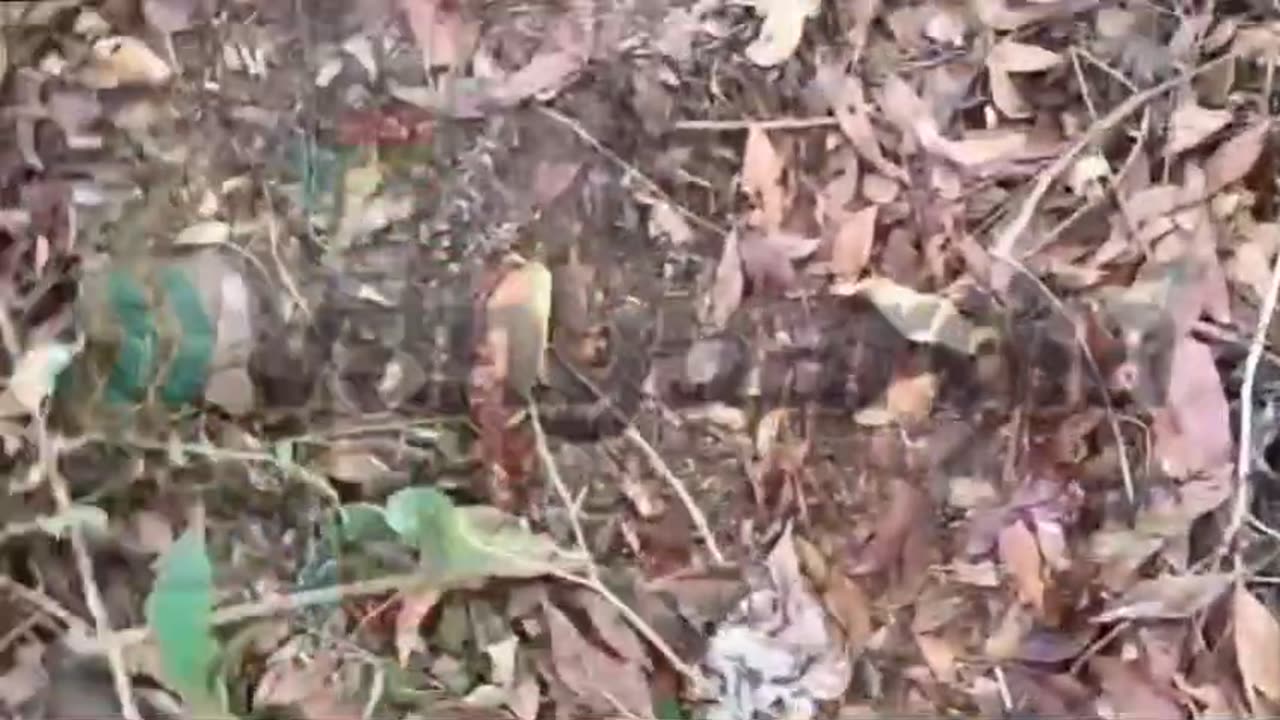Momento de la caída de pescador al río Sogamoso