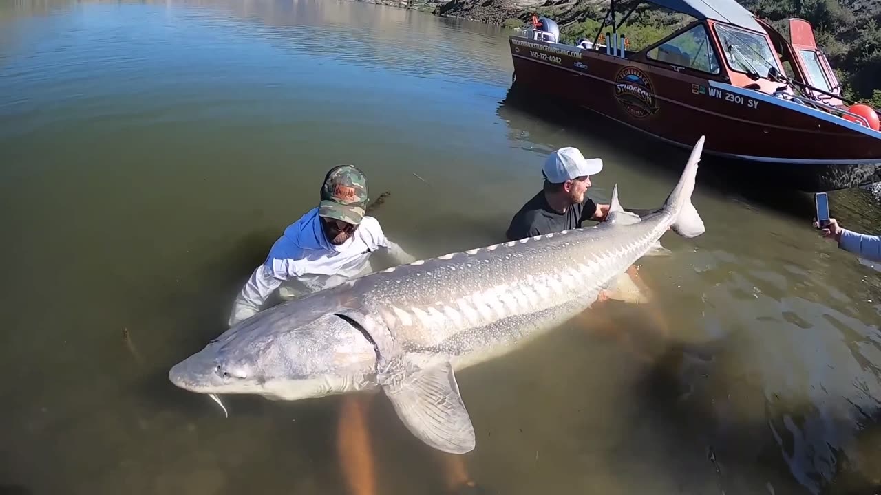 Catching a Monster in The River