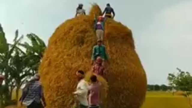 An amazing rural areas Cultural function.