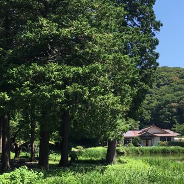 Japanese countryside