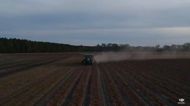 Mann Farms 2021 Peanut Harvest