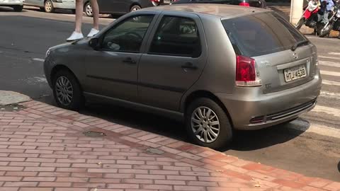 Woman Strolls Over Van That Parked in a Crosswalk