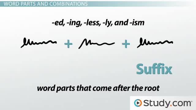 Science Terminology - Study.com