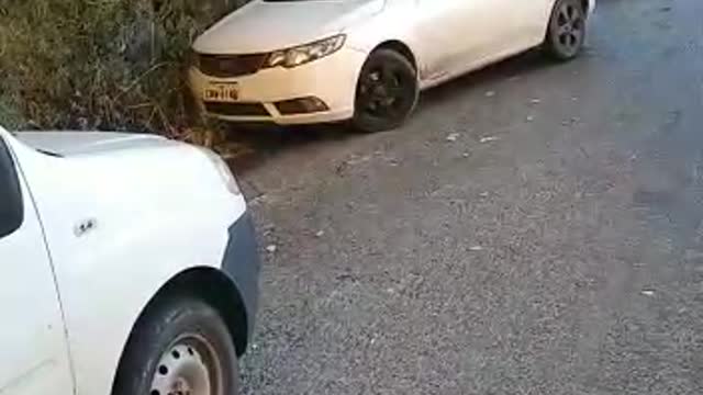 Everything is normal in the serra do rio do rastro