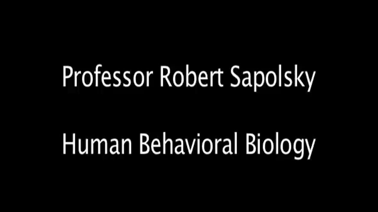 Robert Sapolsky. Aggression II