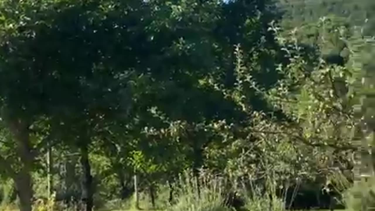 Canavare Fanano..ca ruggiero modena italia