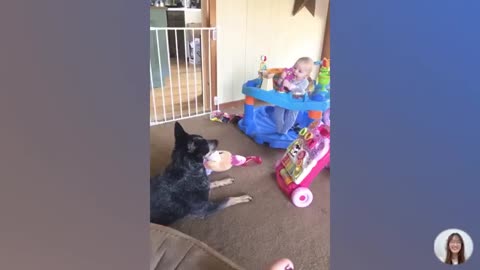 kids comedy