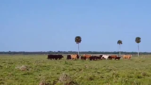 Ranch Land Not Roof Tops.