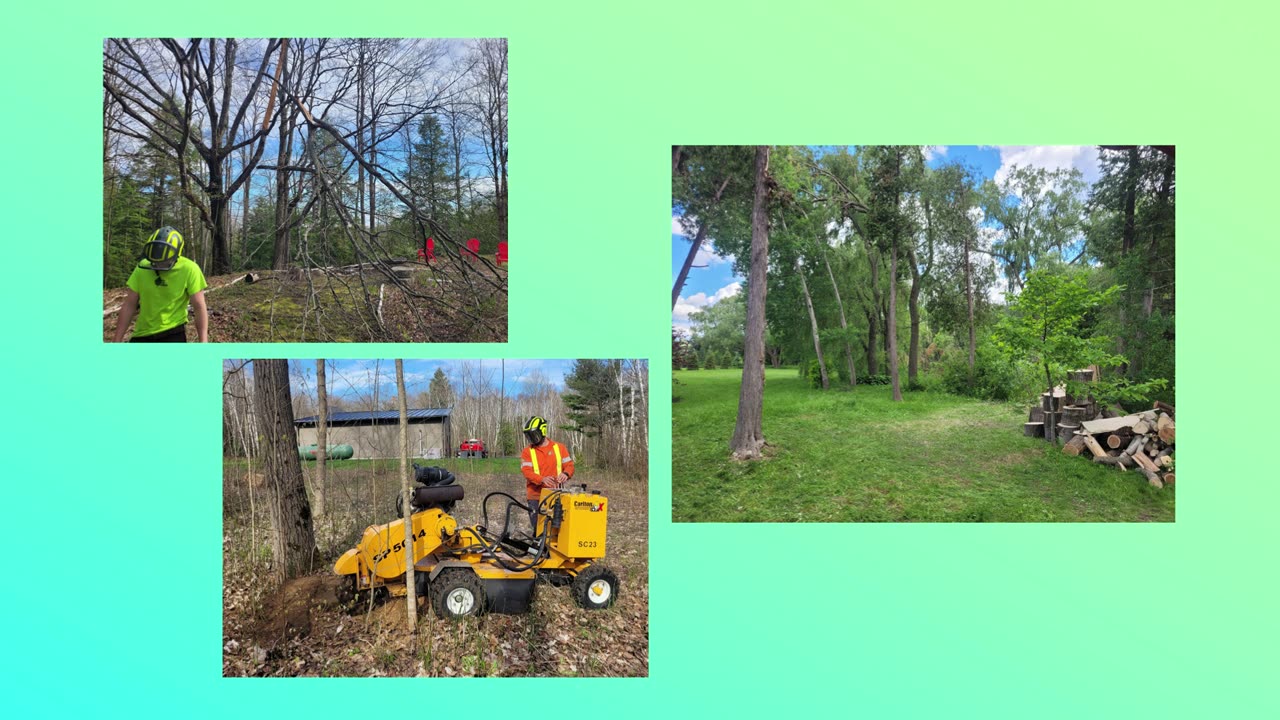 Peterborough Tree Services