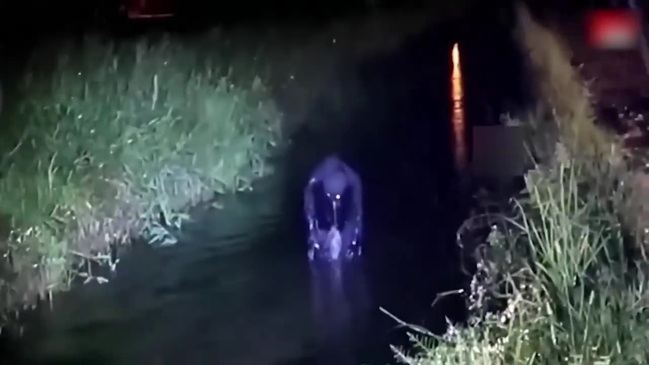 MAN’S CAMERA CAUGHT A TERRIFYING CREATURE CRAWLING OUT OF A SWAMP‼️