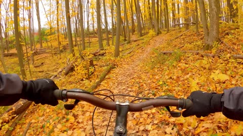 Autumn Forest Bike Ride in Toronto GTA area