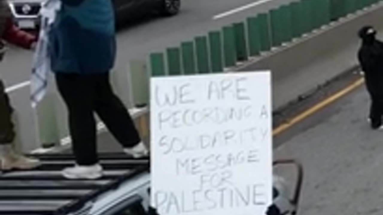 Pro-Palestinian Protesters Block Toronto's Gardiner Expressway