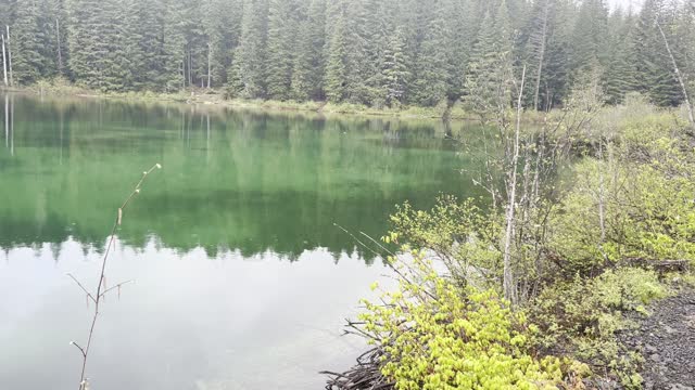 Mineral Green That Must Be Seen to Be Believed – Clear Lake Loop – Central Oregon – 4K