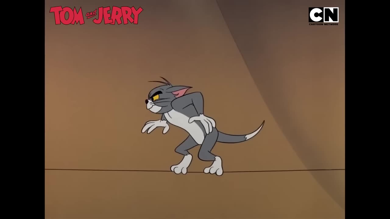 Tom & Jerry