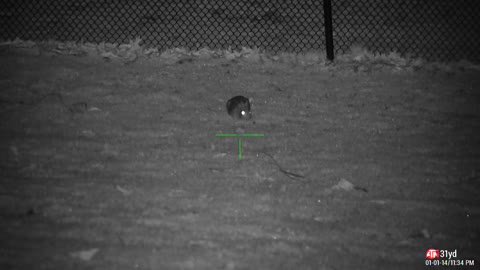 ATN Night Test