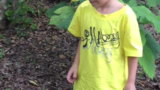 Naughty little boy tries to start trouble with a chicken and instantly regrets it