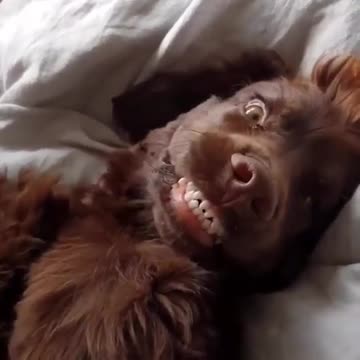 Smile for the camera say cheese...