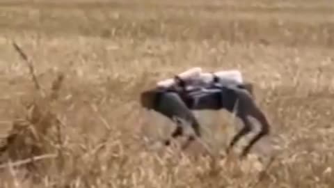 Ukraine is using "Vampire" drones to drop robot dogs off at the front lines.