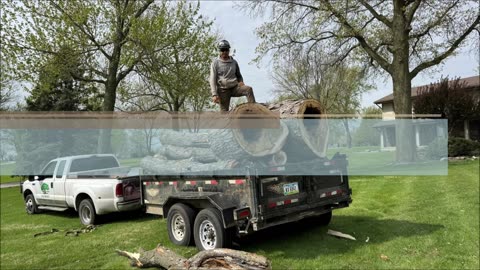 Elder Tree Service