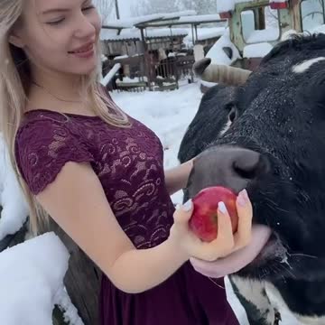 funny|prank|jokes|funny jokes|dad jokes|funny memes|funny video|fun|laughing|funny animal|knock