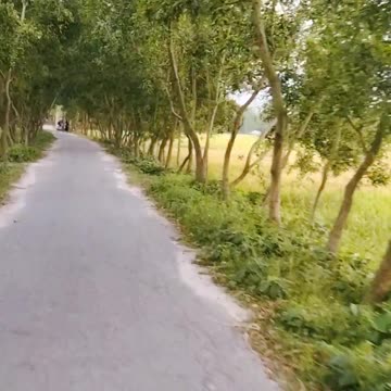 Beautiful road