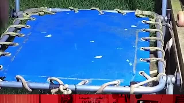 Laugh You Lose Challenge #209