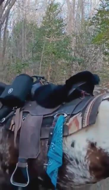 🐎❤WHITE HORSE TRADING POST❤🐎