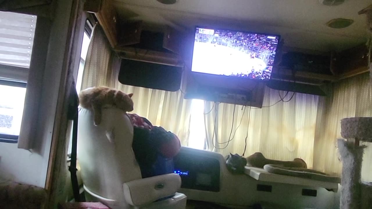 Early morning Ollie shenanigans