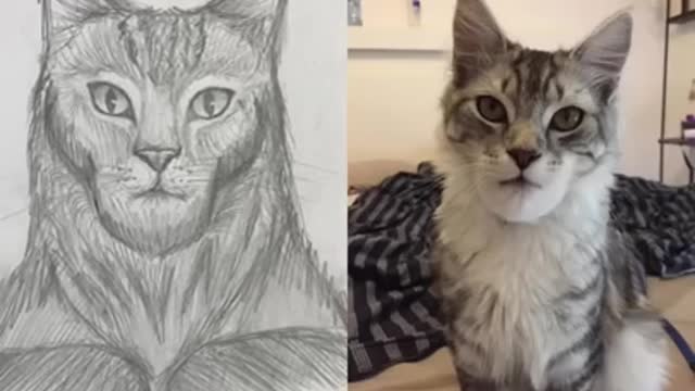 Chad Face Meme Dogs vs Cats