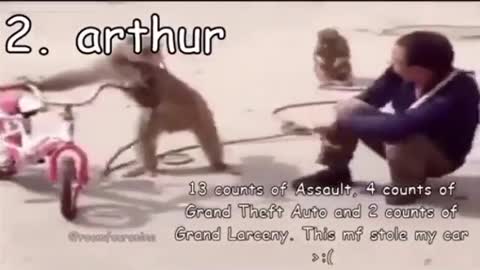 SAVAGE MONKEY