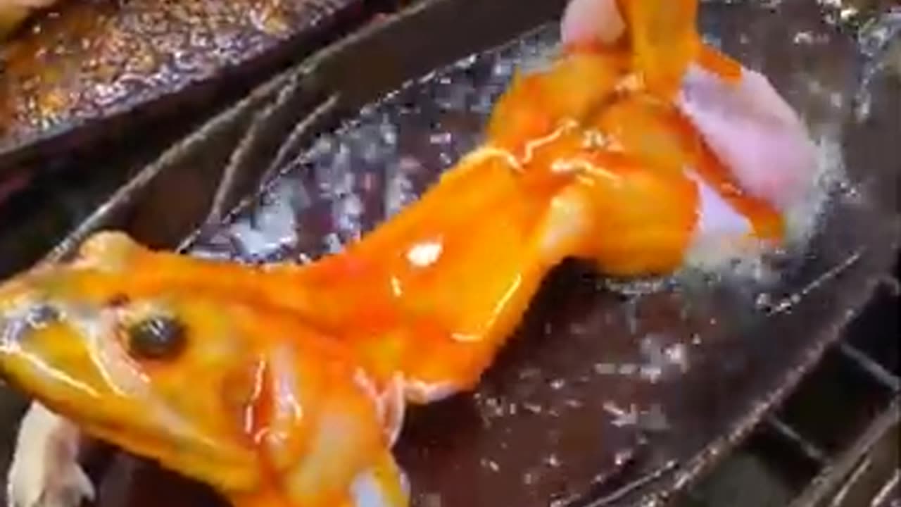 Amazing Stir Fry Frog