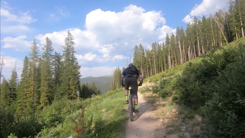 Downhill Biking – Mountain Biking - Trestle Bike Park – Mid Blv / Bear Arm / Low Blv – 07/13/24