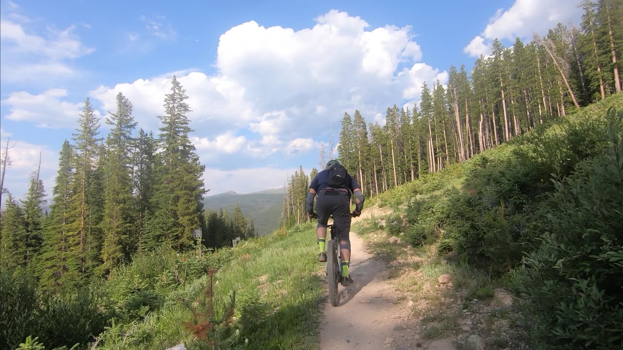 Downhill Biking – Mountain Biking - Trestle Bike Park – Mid Blv / Bear Arm / Low Blv – 07/13/24